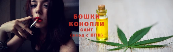 стаф Володарск