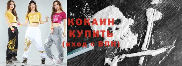 прущая мука Вяземский