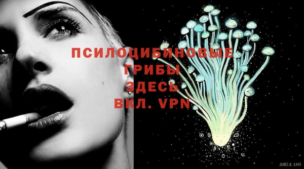 прущая мука Вяземский