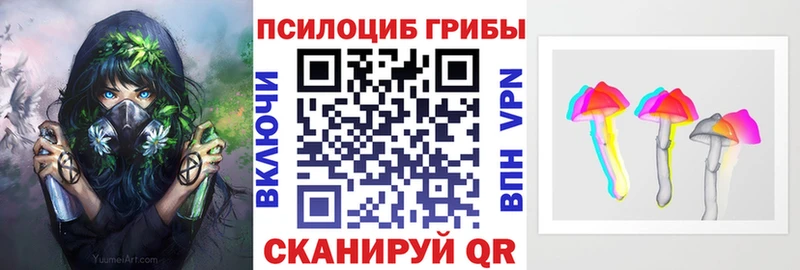 мега как войти  Зубцов  Галлюциногенные грибы мицелий 